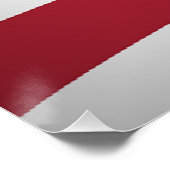 AMERICAN FLAG PERFECT POSTER (Hoek)