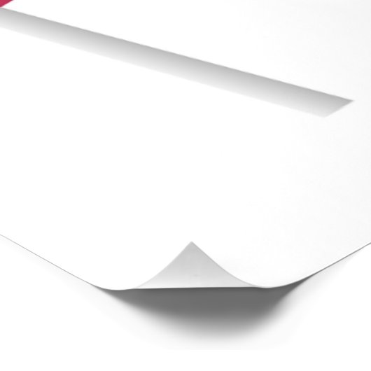 AMERICAN FLAG POSTER (Hoek)