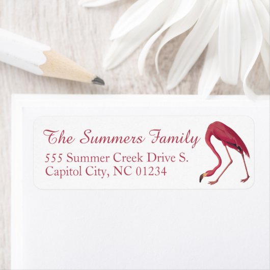 American Flamingo Audubuon Retouradreslabels Etiket (Insitu)