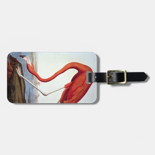 American Flamingo Bagagelabel (Voorkant horizontaal)