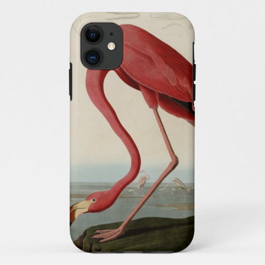American Flamingo Case-Mate iPhone Case (Achterkant)