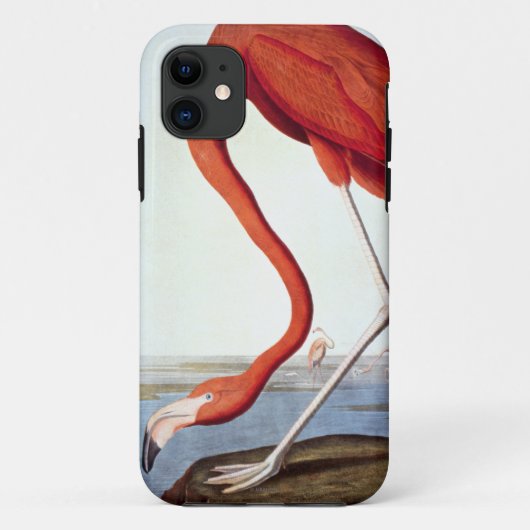American Flamingo Case-Mate iPhone Case (Achterkant)