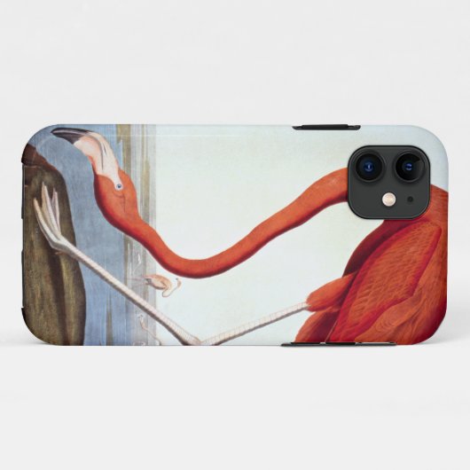 American Flamingo Case-Mate iPhone Case (Achterkant (horizontaal))