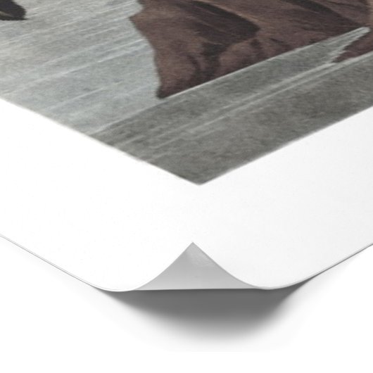 American Flamingo Illustration Poster (Hoek)