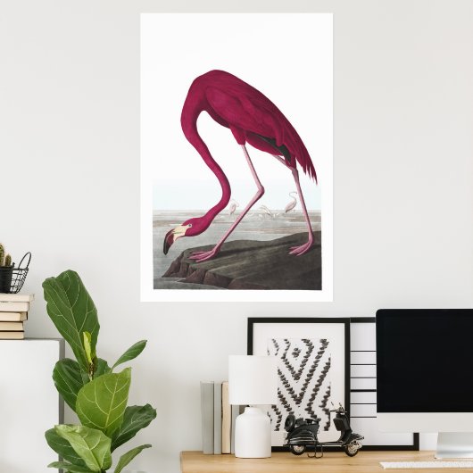 American Flamingo Illustration Poster (Thuiskantoor)