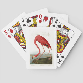 American Flamingo John Audubon Birds of America Speelkaarten