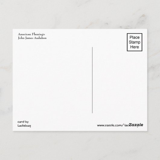American Flamingo | John James Audubon Briefkaart (Achterkant)