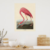American Flamingo | John James Audubon Poster (Keuken)