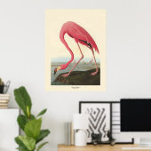 American Flamingo | John James Audubon Poster (Thuiskantoor)