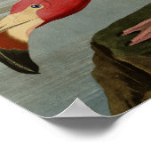 American Flamingo Poster (Hoek)