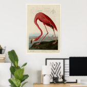American Flamingo Poster (Thuiskantoor)