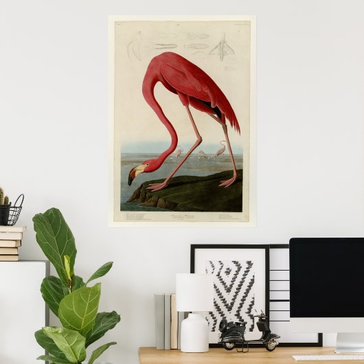 American Flamingo Poster (Thuiskantoor)