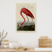 American Flamingo Poster (Keuken)