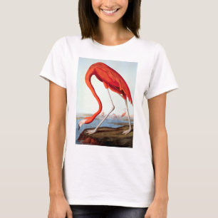 American Flamingo T-shirt