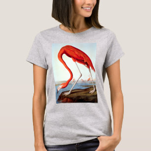 American Flamingo T-shirt
