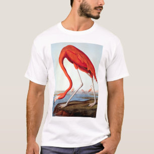 American Flamingo T-shirt