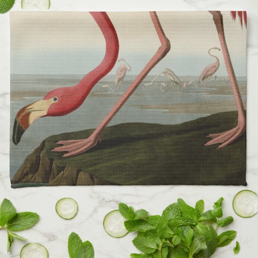 American Flamingo Theedoek (Gevouwen)