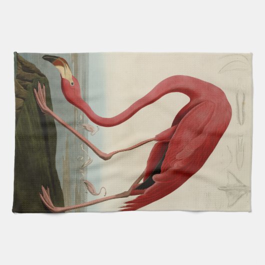American Flamingo Theedoek (Horizontaal)