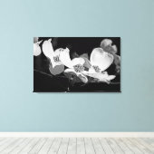 American Flowering Dogwood Blossoms Zwart & Wit Canvas Afdruk (Insitu (Houten vloer))
