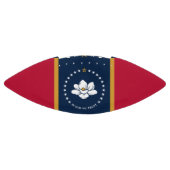 American football ball with flag of Mississippi (Paneel)