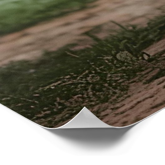 American Football Poster (Hoek)