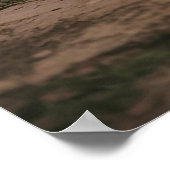 American Football Poster (Hoek)