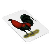 American Game BB Black Red Rooster Magneet (Rechterzijde)