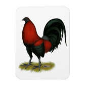 American Game BB Black Red Rooster Magneet (Verticaal)