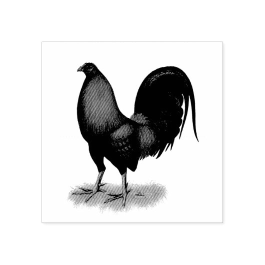 American Game BB Black Red Rooster Rubberstempel (Afrduk)