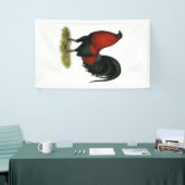 American Game BB Black Red Rooster Spandoek (Beurs)