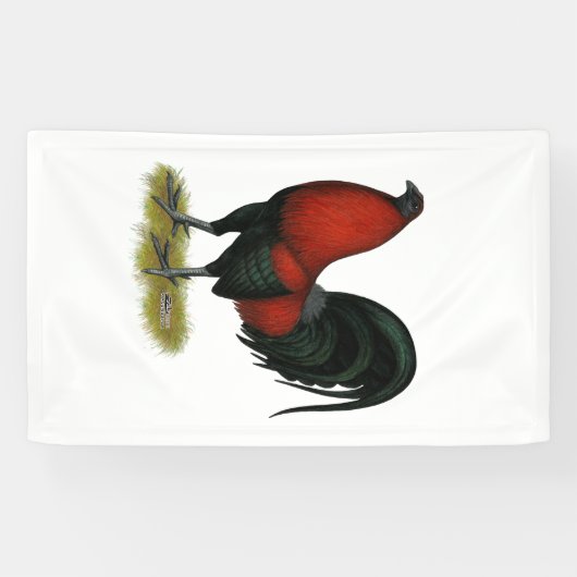American Game BB Black Red Rooster Spandoek (Horizontaal)