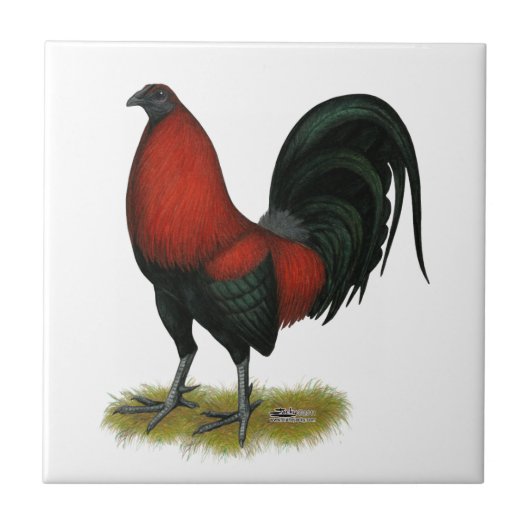 American Game BB Black Red Rooster Tegeltje (Voorkant)