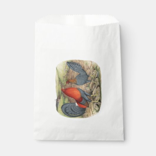 American Game Blue Reds Bedankzakje (Voorkant)