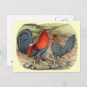 American Game Blue Reds Briefkaart (Voorkant / Achterkant)