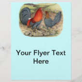 American Game Blue Reds Flyer (Voorkant)