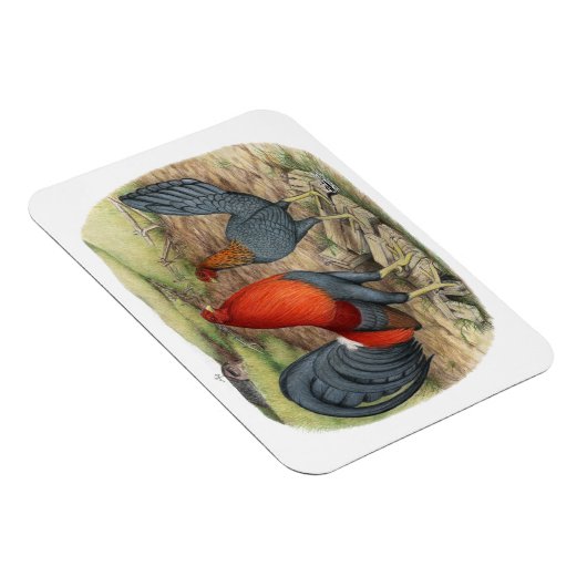 American Game Blue Reds Magneet (Rechterzijde)