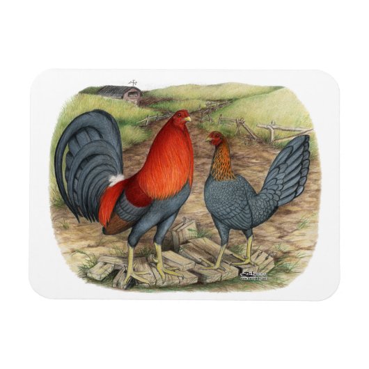 American Game Blue Reds Magneet (Horizontaal)