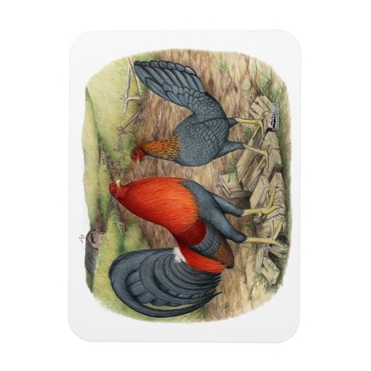 American Game Blue Reds Magneet (Verticaal)