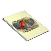 American Game Blue Reds Notitieboek (Rechterzijde)