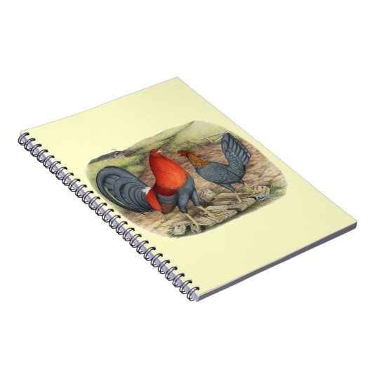 American Game Blue Reds Notitieboek (Rechterzijde)