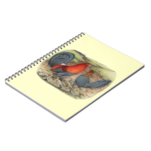 American Game Blue Reds Notitieboek (Linkerzijde)