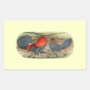 American Game Blue Reds Rechthoekige Sticker