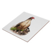 American Game Hen and Baby Chickens Tegeltje (Zijkant)