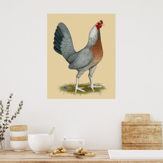 American Game Hen Silver Blue Poster (Keuken)