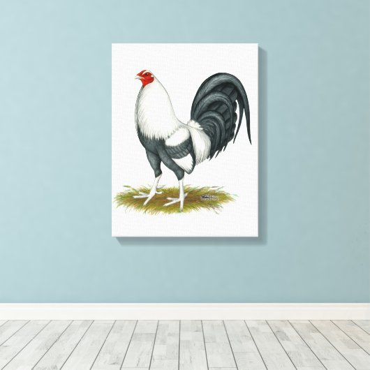 American Game Silver Blue Gamecock Canvas Afdruk (Insitu (Houten vloer))