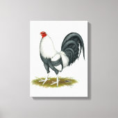 American Game Silver Blue Gamecock Canvas Afdruk (Voorkant)