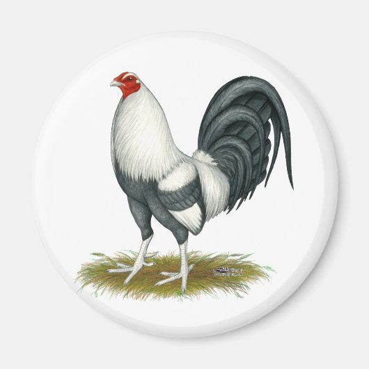 American Game Silver Blue Gamecock Magneet (Voorkant)