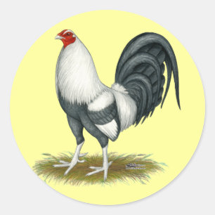 American Game Silver Blue Gamecock Ronde Sticker