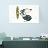 American Game Silver Blue Gamecock Spandoek (Beurs)