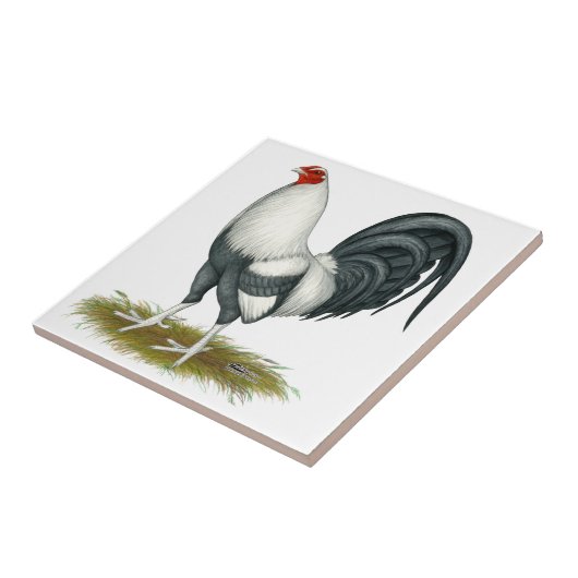 American Game Silver Blue Gamecock Tegeltje (Zijkant)